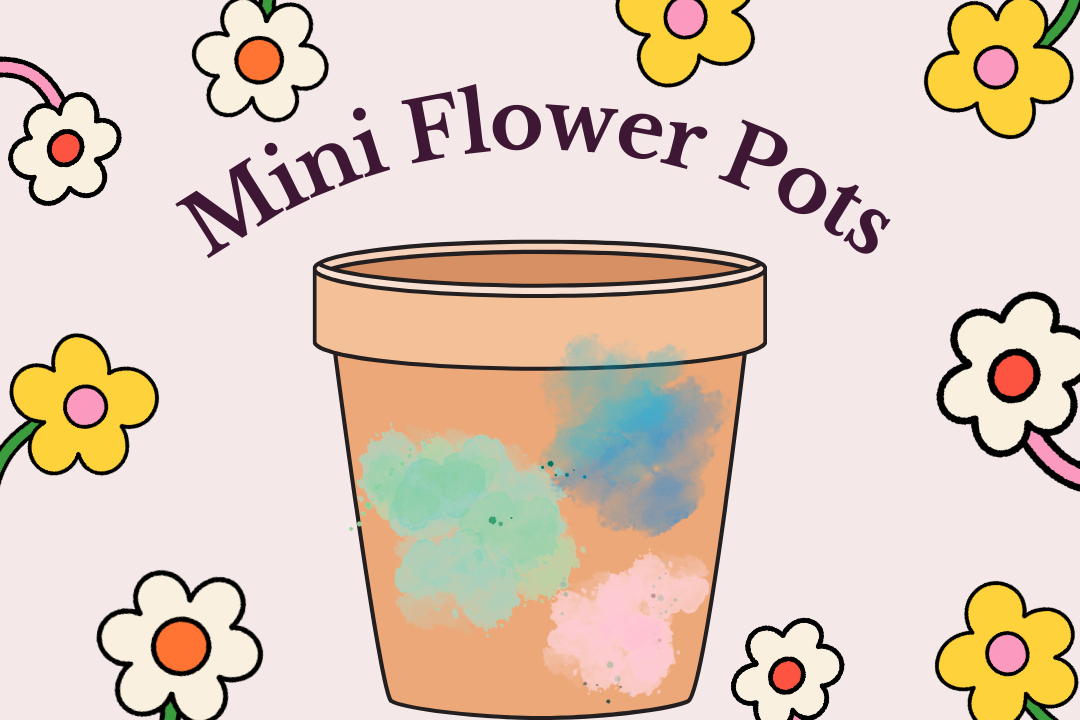 Mini Flower Pots