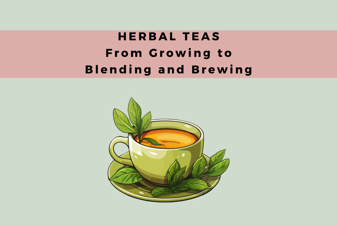 Herbal Teas:  From Growing to Blending and Brewing