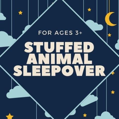 Stuffed animal sleepover