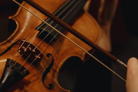 Photo of violin