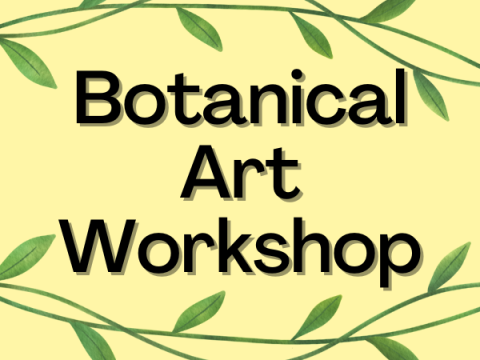 Botanical Art Workshop