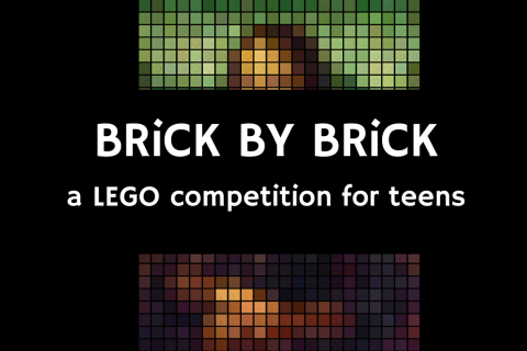 brick by brick lego competition