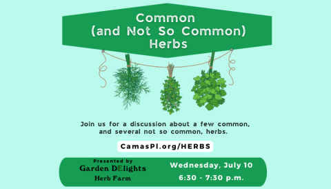 Common (and Not So Common) Herbs