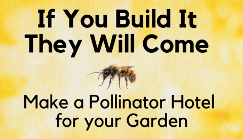 If you build it, they will come - make a pollinator hotel for your garden