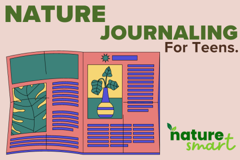 Nature Journaling for Teens. Colorful journal with plants displayed.