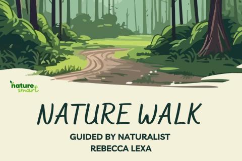 Graphic of a trail through a forest with the text Nature Smart Nature Walk guided by naturalist Rebecca Lexa