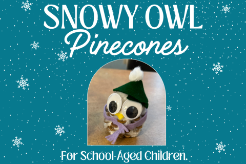 Snowy Owl Pinecones text with a pinecone owl in a felt hat and very big googly eyes.