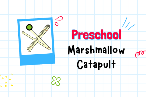 Picture of a popsicle catapult with the text Preschool Marshmallow Catapult