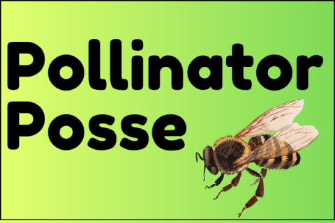 Pollinator Posse