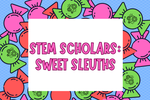 text STEM Scholars Sweet Sleuths