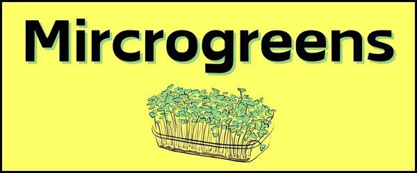 Mircogreens