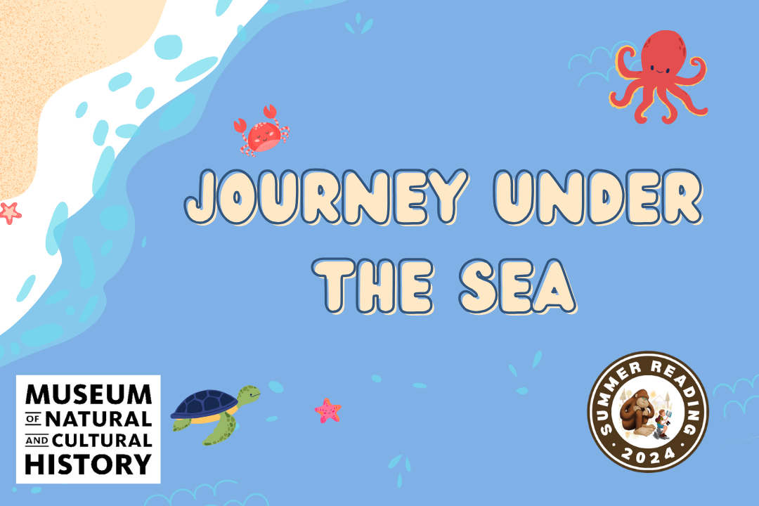 journey under the sea