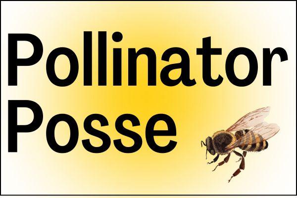 Pollinator Posse