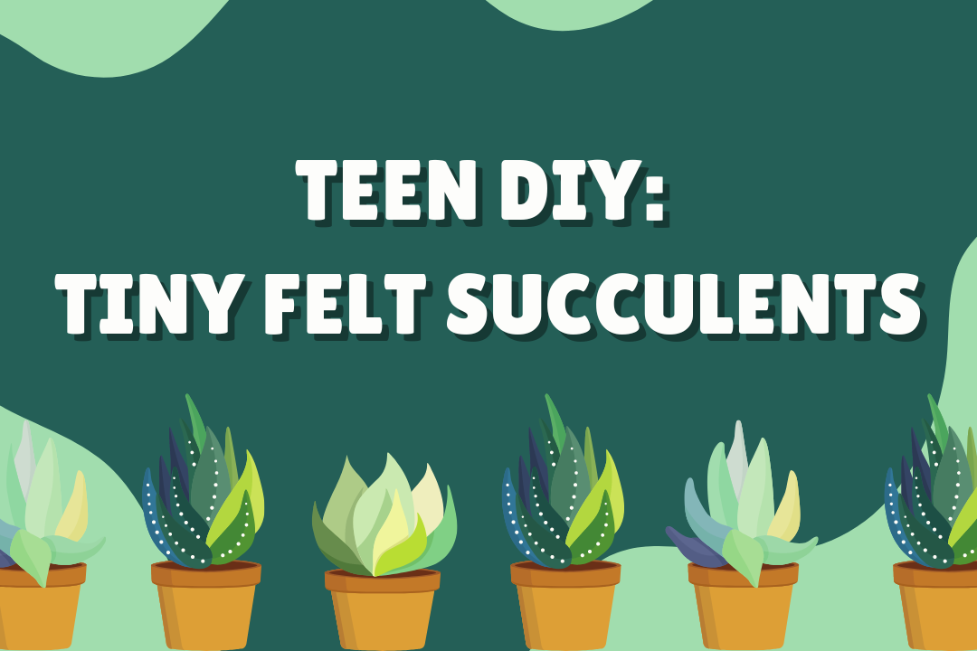 Teen DIY: Tiny Felt Succulents