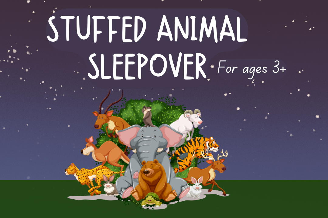 Text Stuffed Animal Sleepover for ages 3+ with a picture of a night sky and a group of wild animals